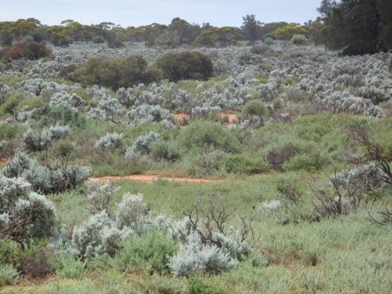 Sec 36 Thiele Highway, Mount Mary SA 5374