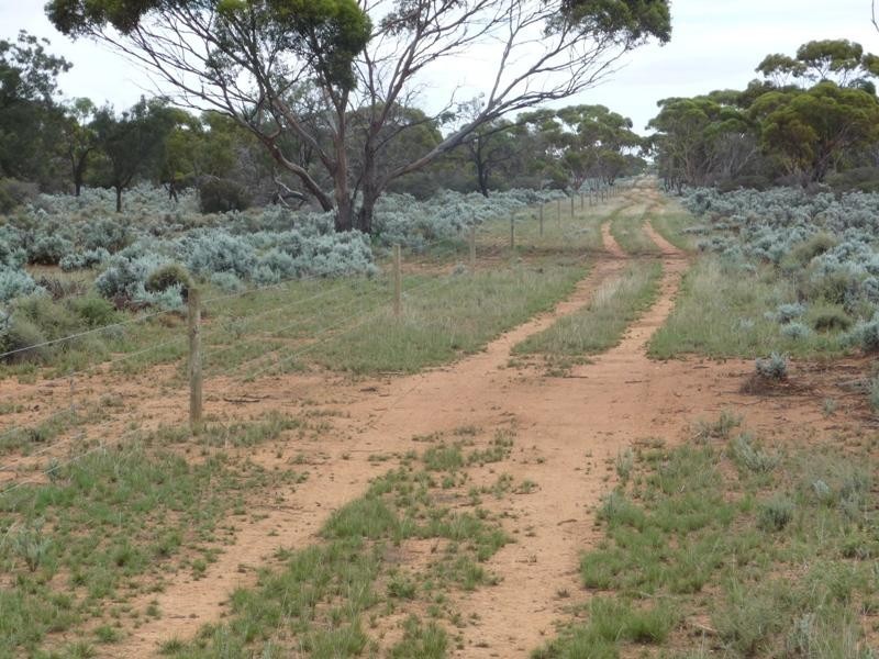 Sec 36 Thiele Highway, Mount Mary SA 5374