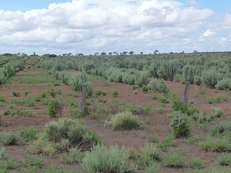 Sec 36 Thiele Highway, Mount Mary SA 5374