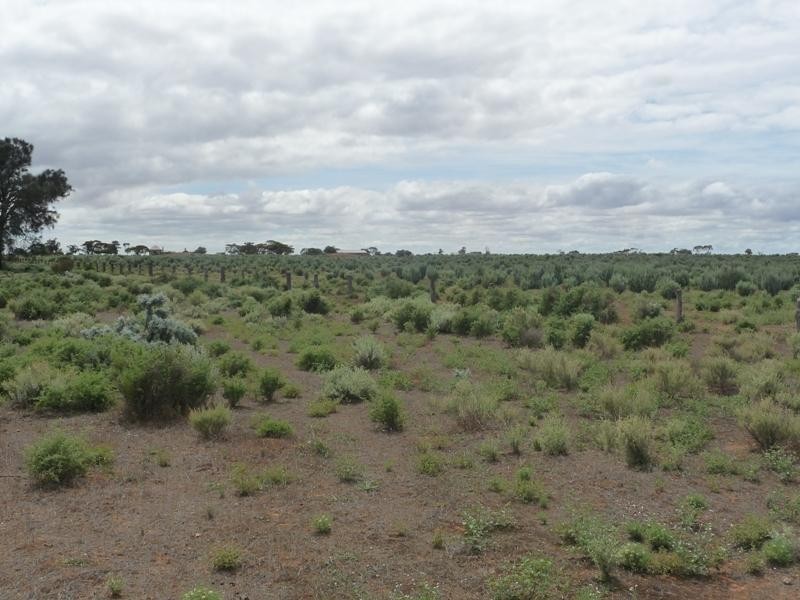 Sec 36 Thiele Highway, Mount Mary SA 5374