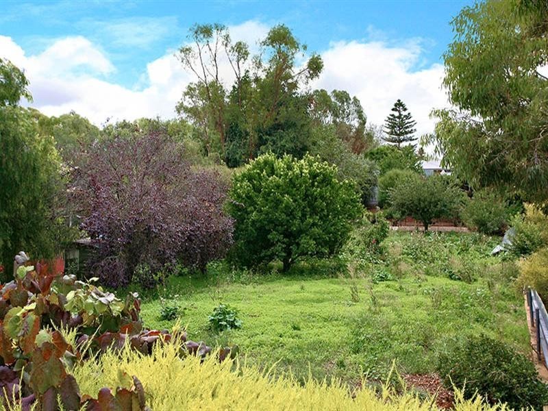 46 John Street, Tanunda SA 5352