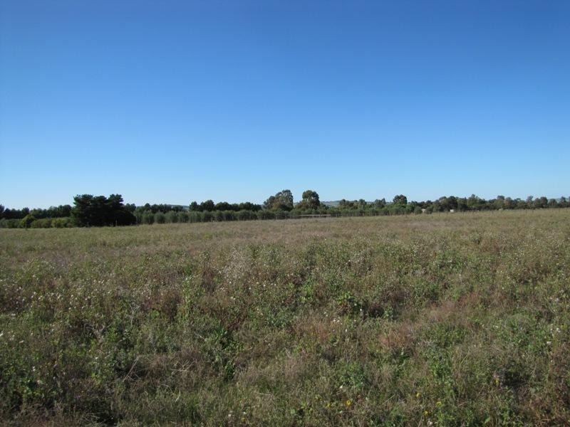 Lot 11 Pearson Road, Hillier SA 5116