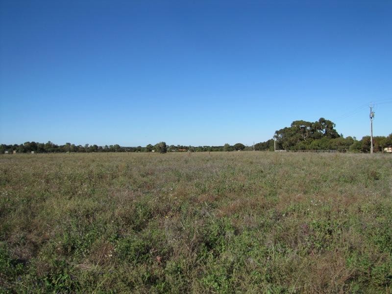 Lot 11 Pearson Road, Hillier SA 5116