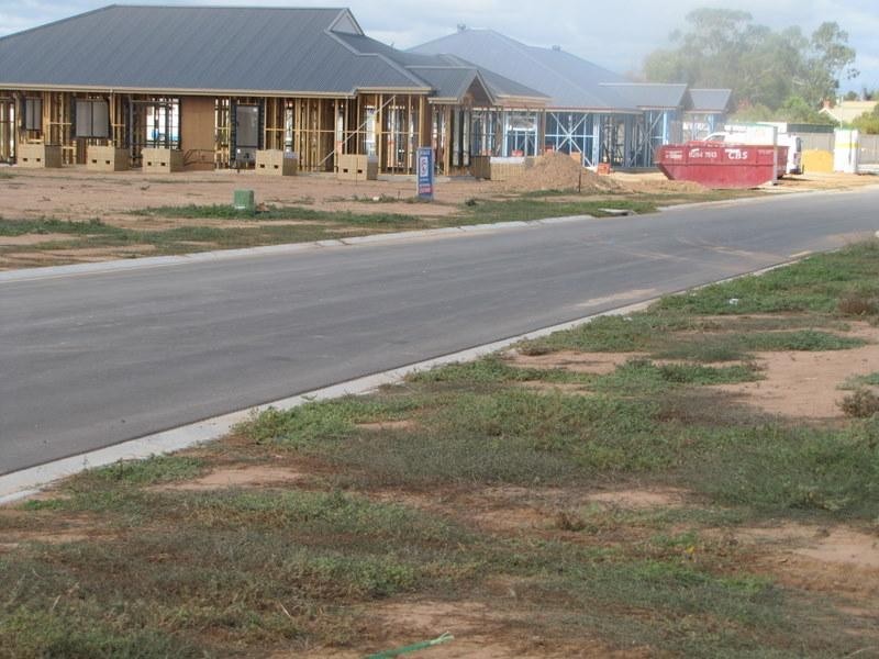 Lot 7 Walter Avenue, Two Wells SA 5501