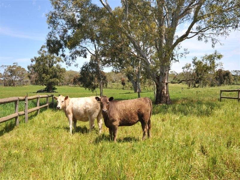 Sec 328 Cricks Mill Road, Mount Pleasant SA 5235