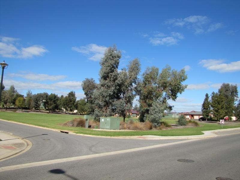 14 Coleman Parade, Evanston Park SA 5116