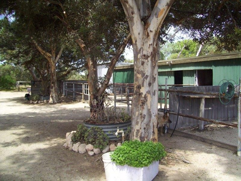 Lot 222 Shellgrit Road, Two Wells SA 5501