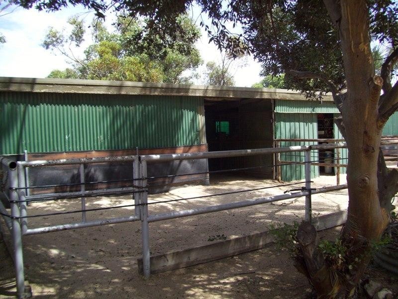 Lot 222 Shellgrit Road, Two Wells SA 5501