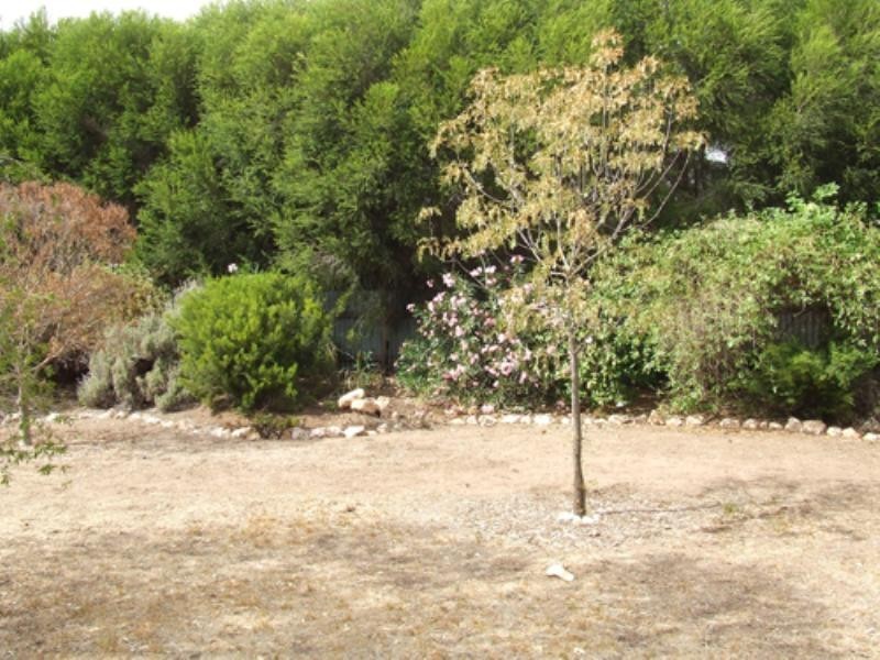 Lot 101 Buckland Park Road, Two Wells SA 5501