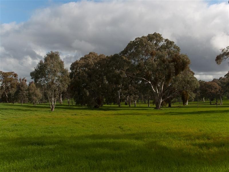 Sec. 169 Springton Road, Mount Crawford SA 5351