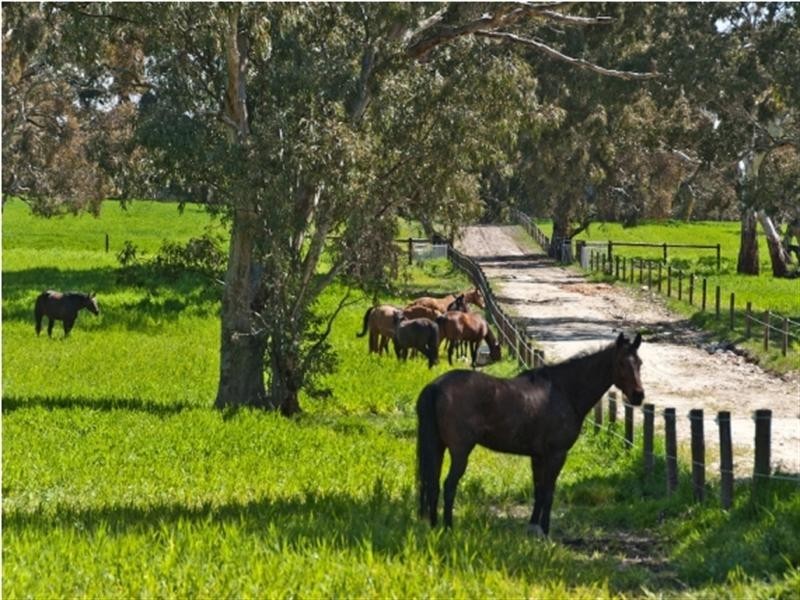 Sec. 169 Springton Road, Mount Crawford SA 5351