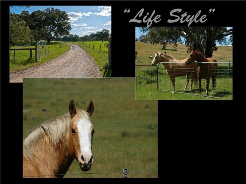 Lot 100 Corryton Park Road, Flaxman Valley SA 5235