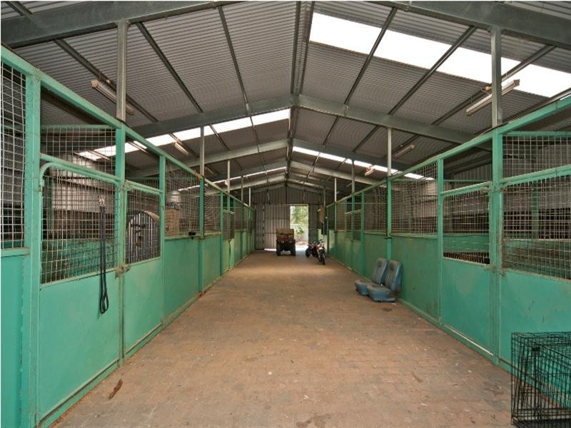 Lot 100 Corryton Park Road, Flaxman Valley SA 5235