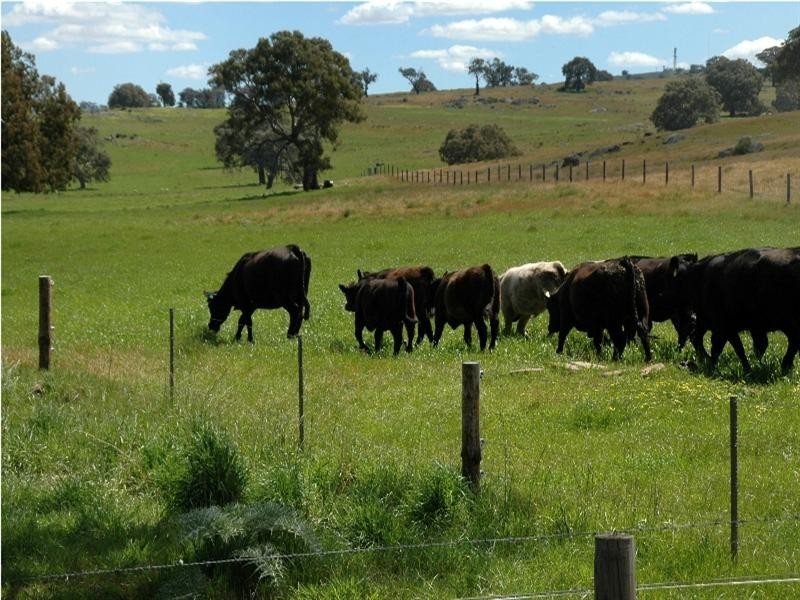 Lot 100 Corryton Park Road, Flaxman Valley SA 5235