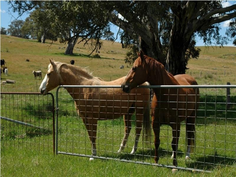 Lot 100 Corryton Park Road, Flaxman Valley SA 5235