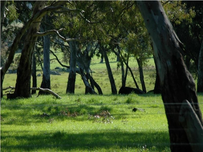 Lot 100 Corryton Park Road, Flaxman Valley SA 5235