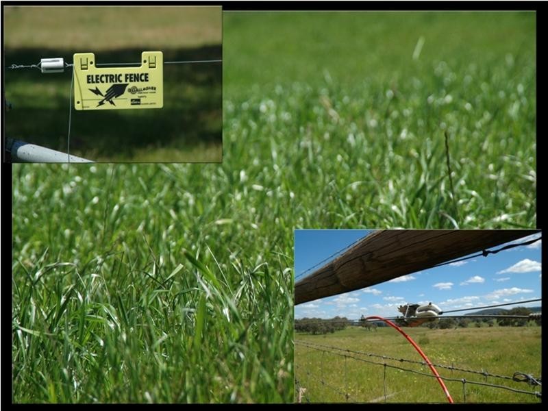 Lot 100 Corryton Park Road, Flaxman Valley SA 5235