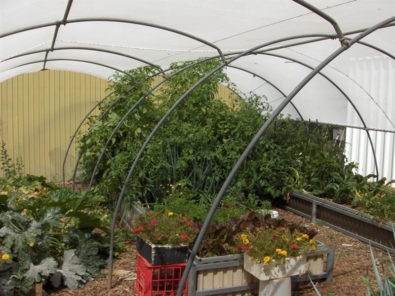 Lot 6 Rosedale Road, Rosedale SA 5350