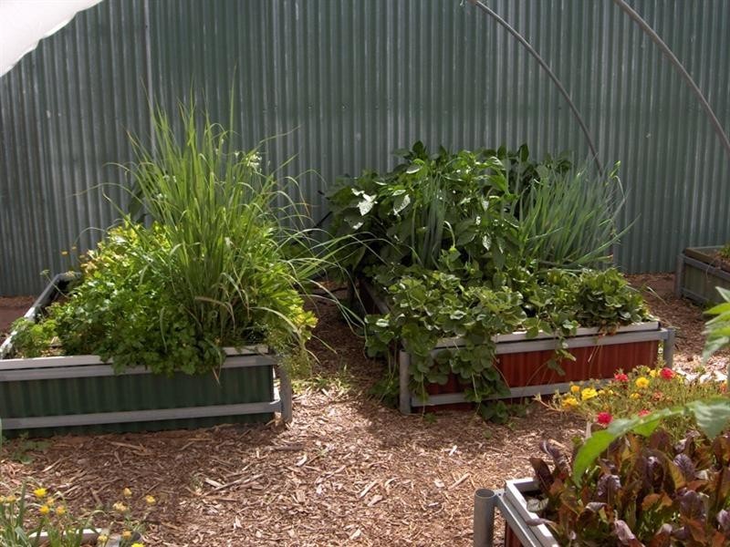 Lot 6 Rosedale Road, Rosedale SA 5350