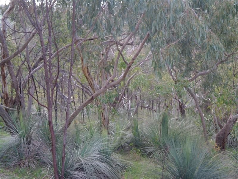 33 Bulman Road, Kersbrook SA 5231