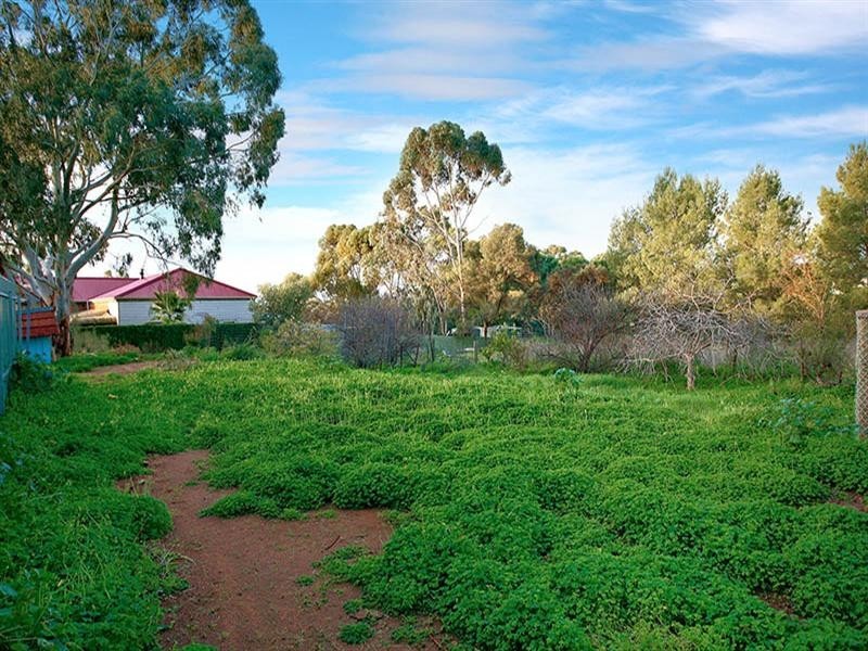 37 Sunnydale Avenue, Kalbeeba SA 5118