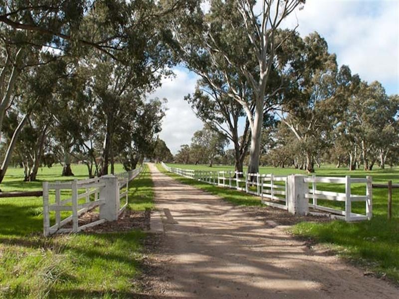 Sec. 169 Springton Road, Mount Crawford SA 5351