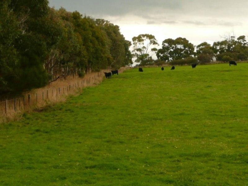 Sec 328 Cricks Mill Road, Mount Pleasant SA 5235