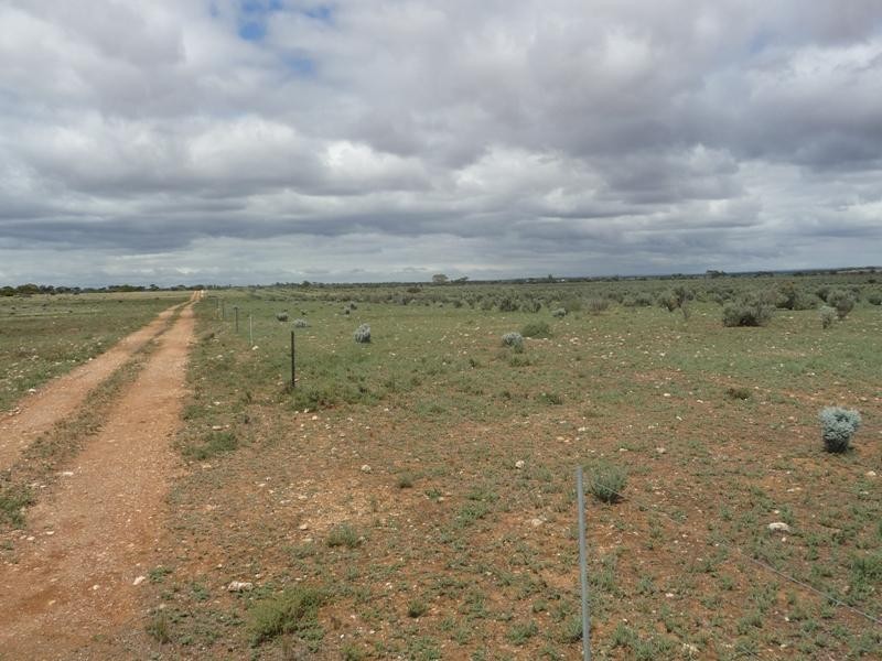 Sec 36 Thiele Highway, Mount Mary SA 5374