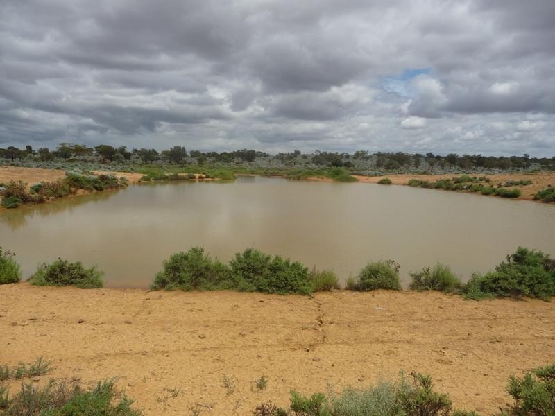 Sec 36 Thiele Highway, Mount Mary SA 5374