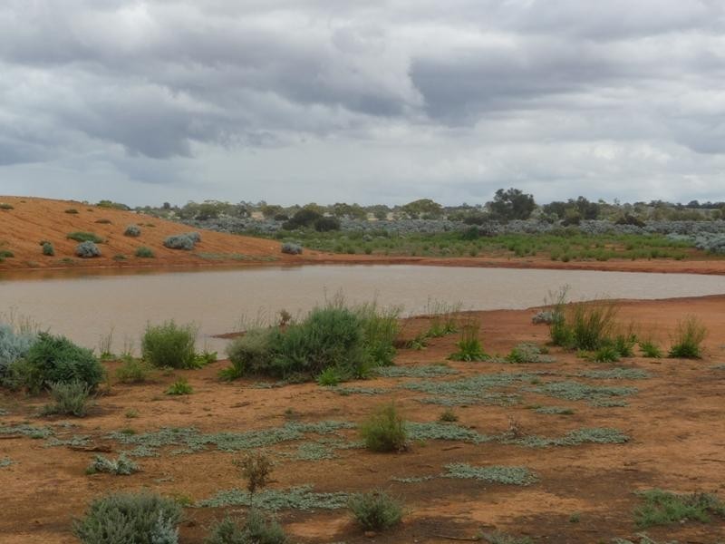 Sec 36 Thiele Highway, Mount Mary SA 5374