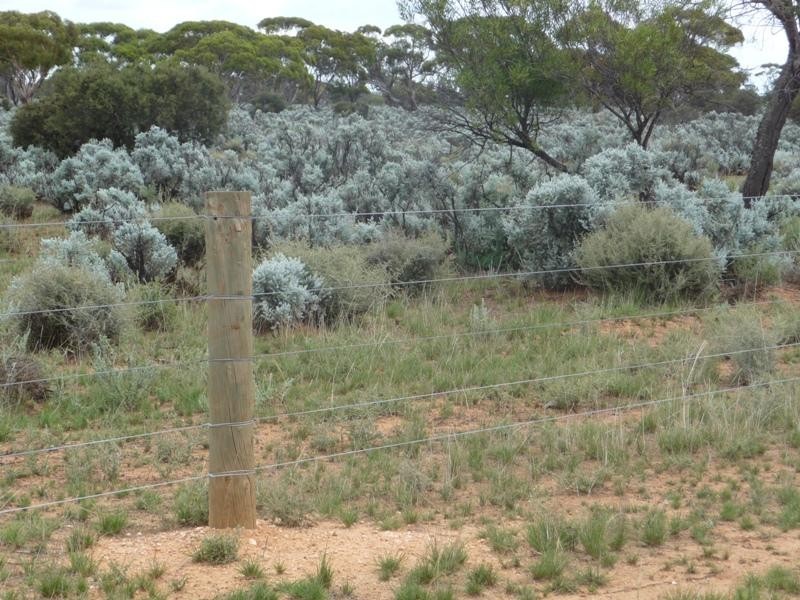 Sec 36 Thiele Highway, Mount Mary SA 5374