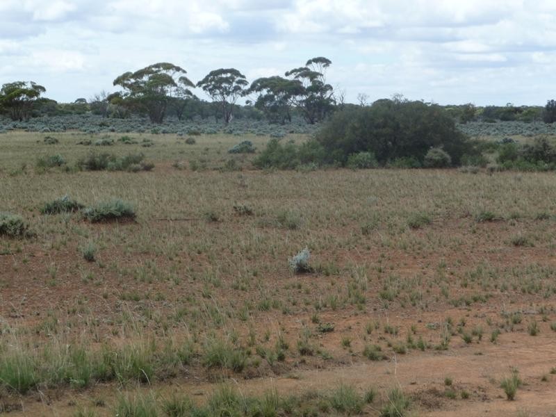 Sec 36 Thiele Highway, Mount Mary SA 5374