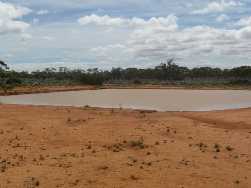 Sec 36 Thiele Highway, Mount Mary SA 5374