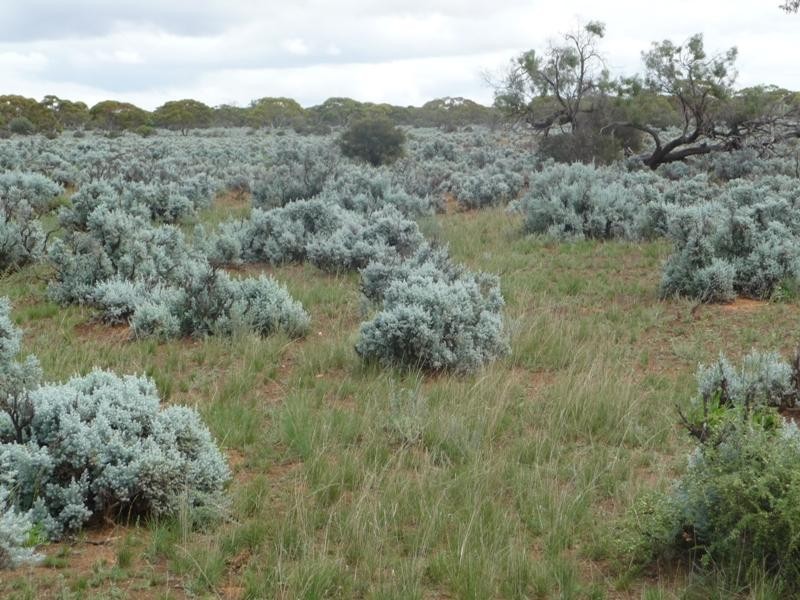 Sec 36 Thiele Highway, Mount Mary SA 5374