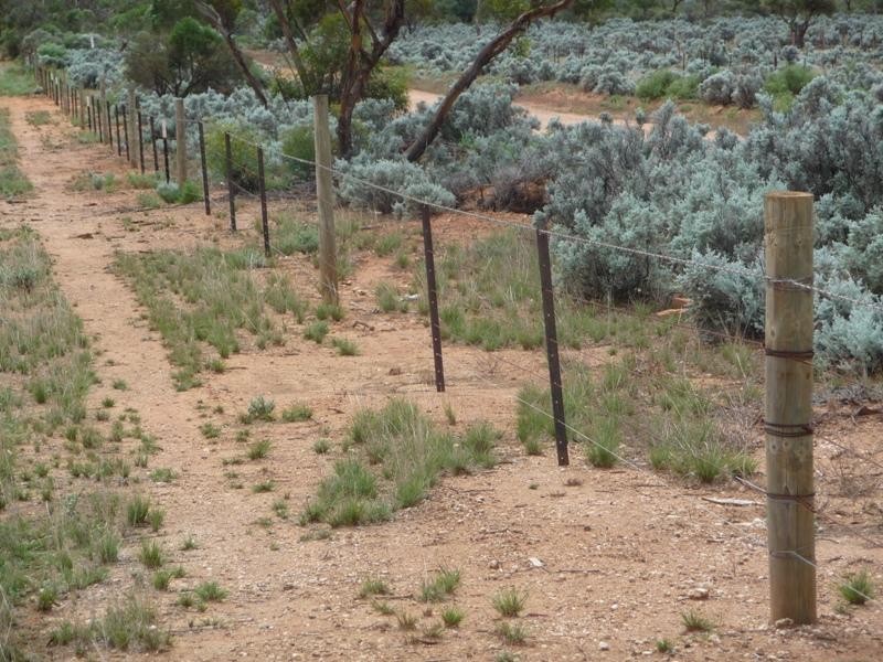 Sec 36 Thiele Highway, Mount Mary SA 5374