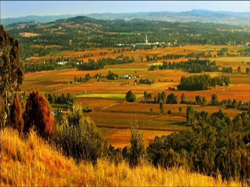 Lot 892 Menglers Hill Road, Bethany SA 5352