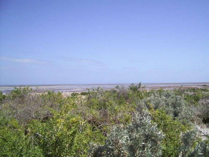 Lot 12 Sandpiper Drive, Thompson Beach SA 5501