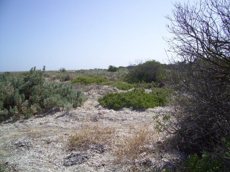 Lot 12 Sandpiper Drive, Thompson Beach SA 5501