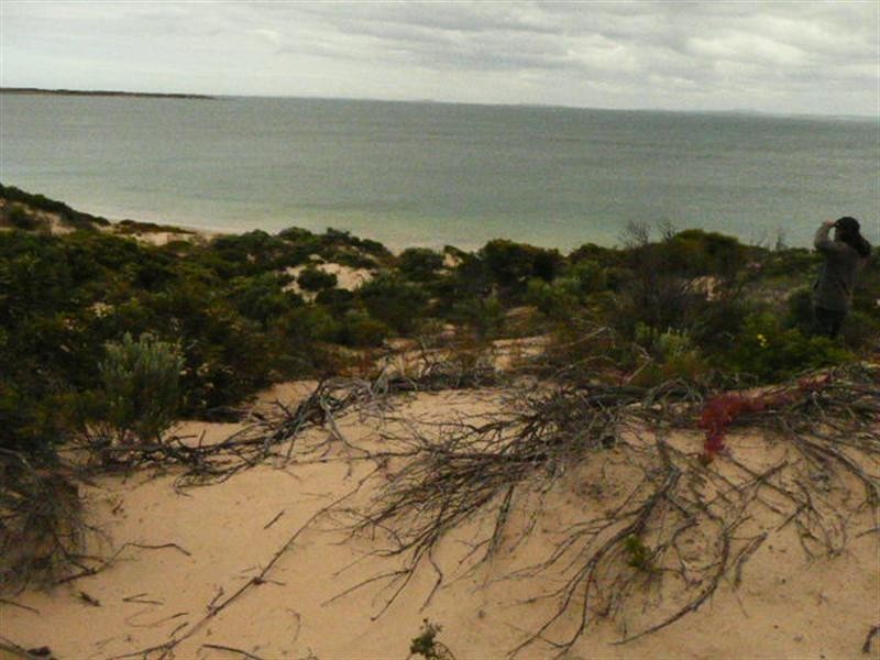 Sec 471 Hundred of Louth, Tumby Bay SA 5605