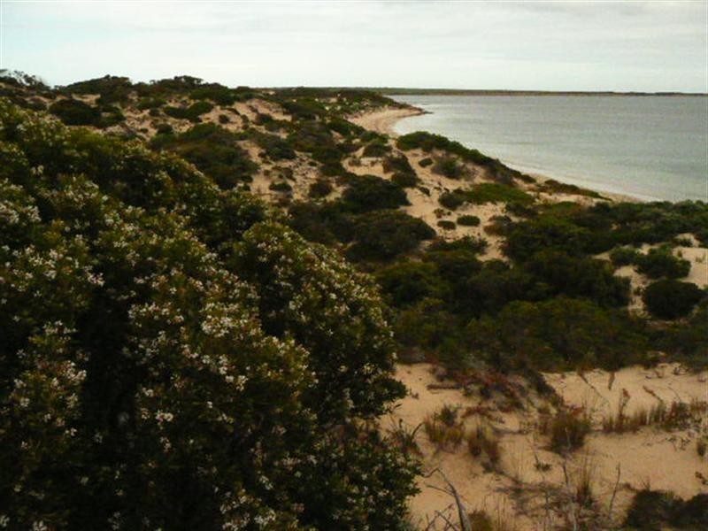 Sec 471 Hundred of Louth, Tumby Bay SA 5605