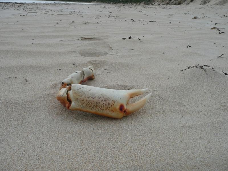 Sec 471 Hundred of Louth, Tumby Bay SA 5605