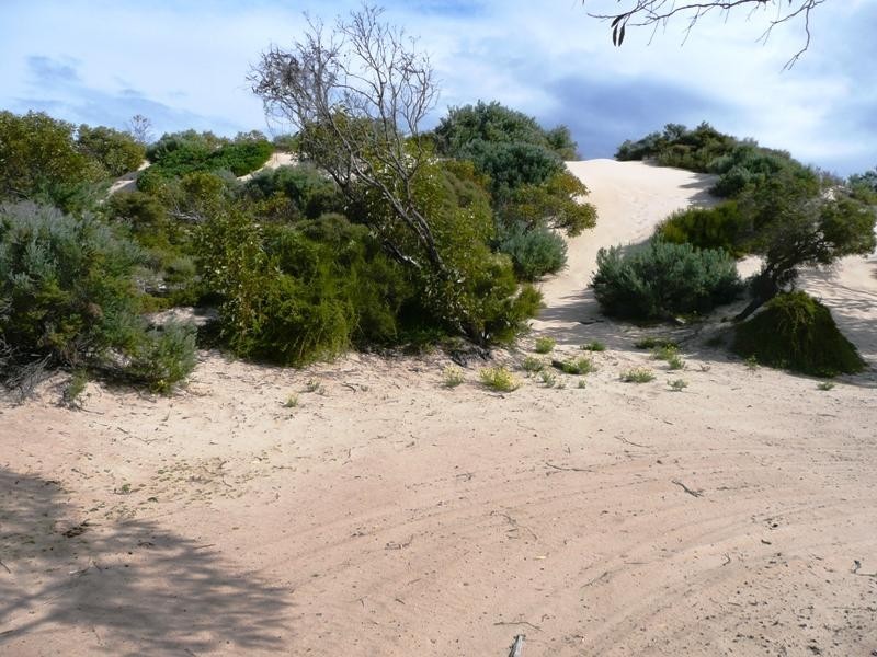 Sec 471 Hundred of Louth, Tumby Bay SA 5605