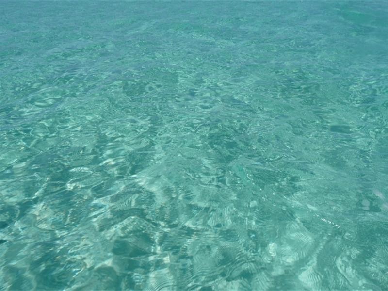 Lot 303 Coast Road, Port Neill SA 5604