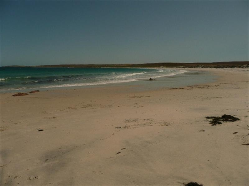 Lot 303 Coast Road, Port Neill SA 5604