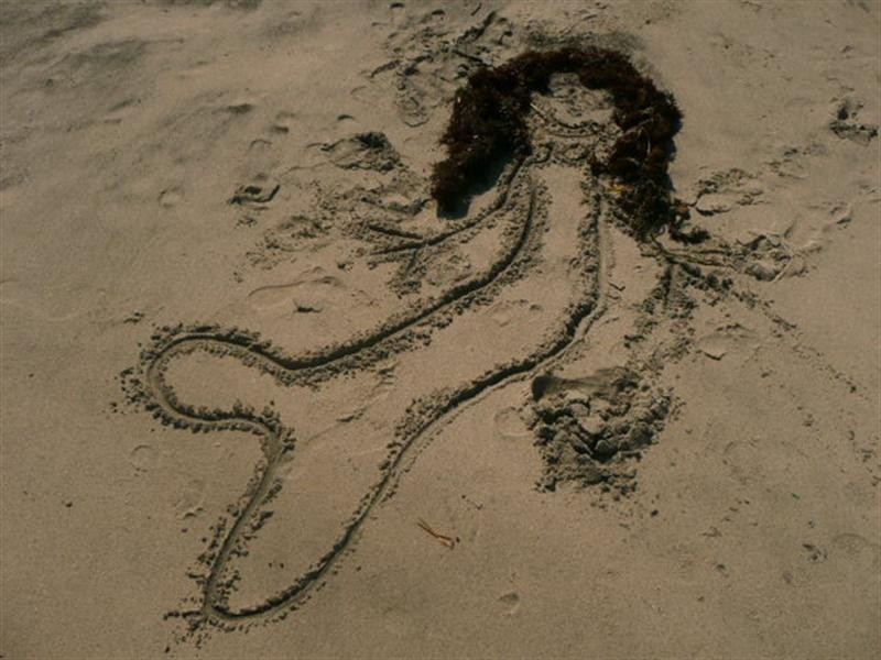 Lot 303 Coast Road, Port Neill SA 5604