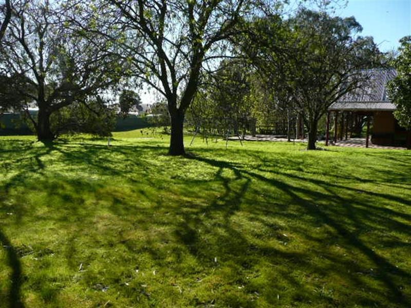 Lot 53 Falkenberg Road, Nuriootpa SA 5355