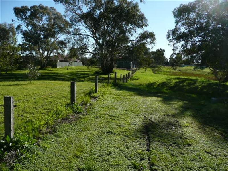 Lot 53 Falkenberg Road, Nuriootpa SA 5355