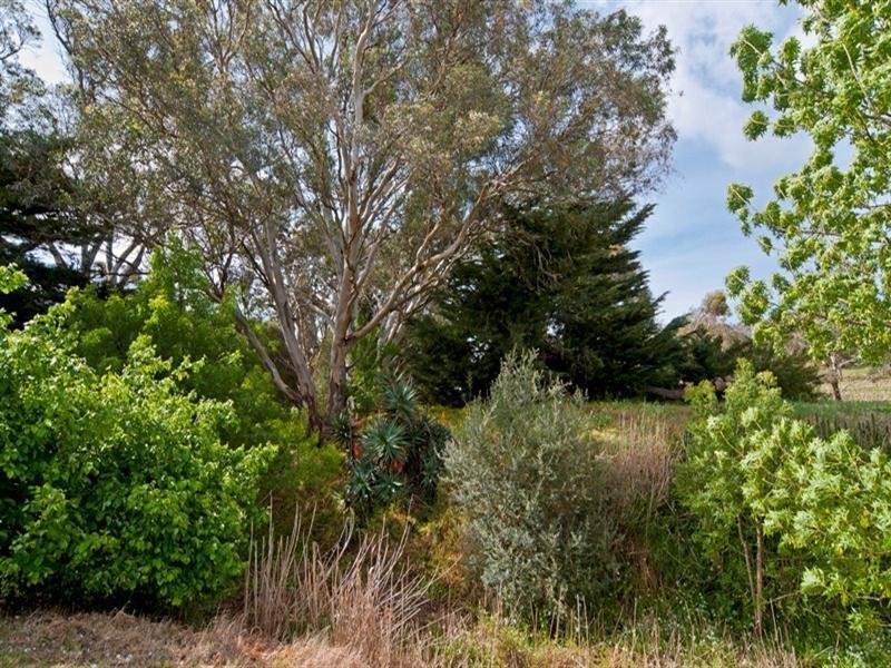 Lot 56 Murray Street, Eden Valley SA 5235