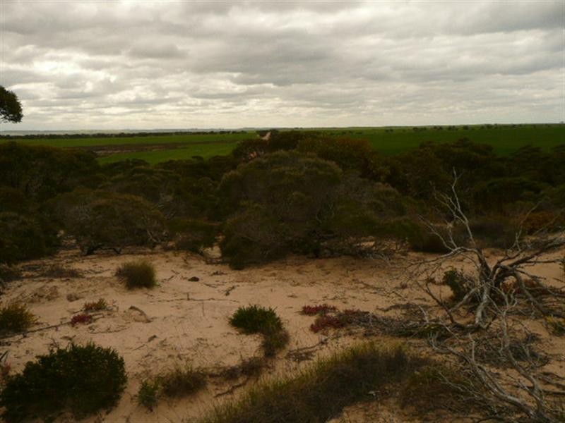 100 Louth, Tumby Bay SA 5605