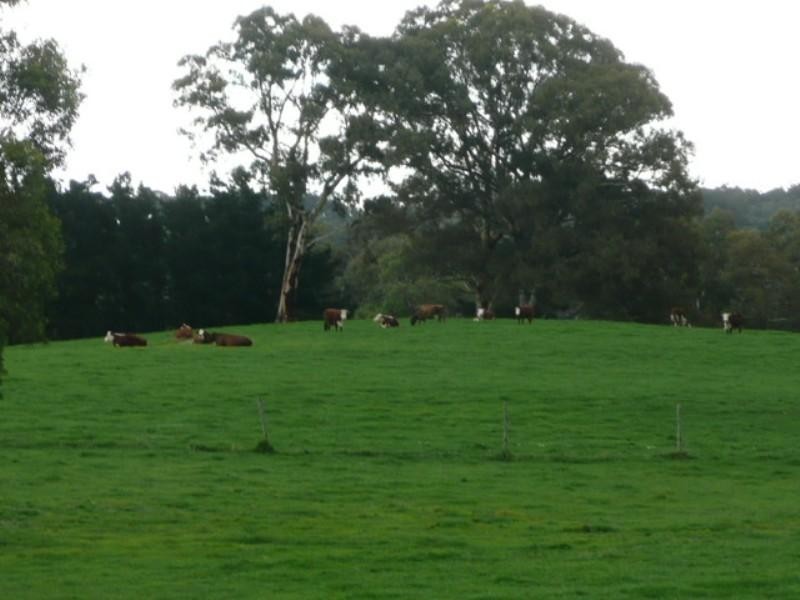 Lot 674 H Muellers Road, Mount Pleasant SA 5235